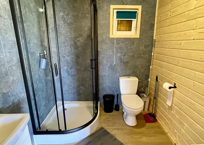 Viking Dom wakacyjny *